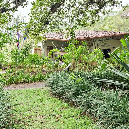 Finca Rosa Blanca Coffee Farm And Inn-3